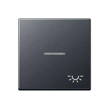 JUNG A 590 BFKO5 L ANM schakelwip met lichtsymbool en controlevenster A-range antraciet mat