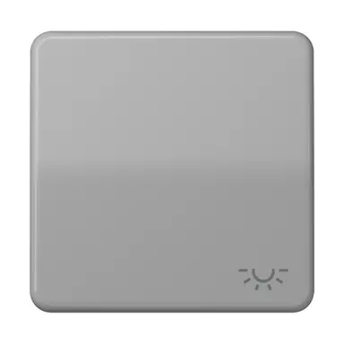 JUNG CD 590 L GR schakelwip met lichtsymbool CD500 grijs
