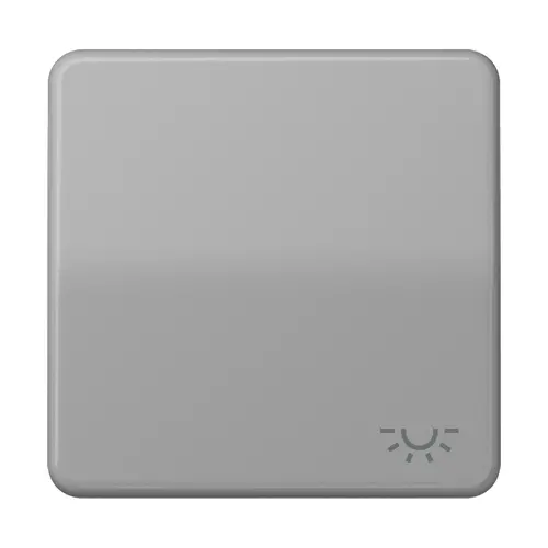 JUNG CD 590 L GR schakelwip met lichtsymbool CD500 grijs