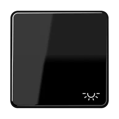 JUNG CD 590 L SW schakelwip met lichtsymbool CD500 zwart glans