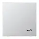 JUNG AL 2990 T schakelwip met sleutelsymbool LS990 aluminium