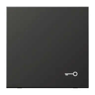 JUNG AL 2990 T AN schakelwip met sleutelsymbool LS990 antraciet gelakt aluminium