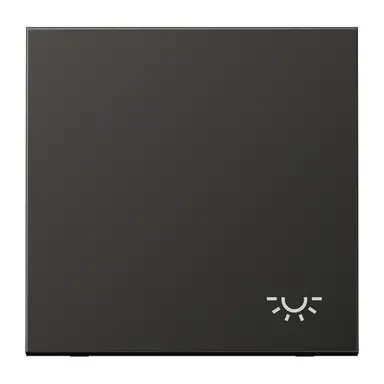 JUNG AL 2990 L AN schakelwip met lichtsymbool LS990 antraciet gelakt aluminium