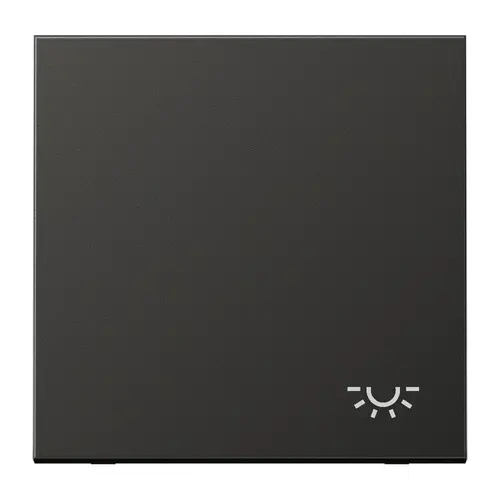JUNG AL 2990 L AN schakelwip met lichtsymbool LS990 antraciet gelakt aluminium