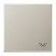JUNG ES 2990 L schakelwip met lichtsymbool LS990 edelstaal