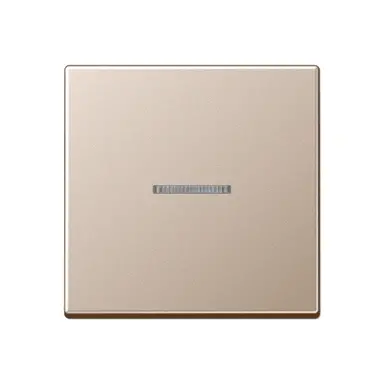 JUNG A 590 KO5 CH schakelwip met controlevenster A-range champagne