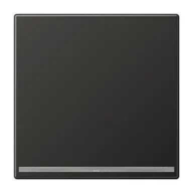 JUNG AL 1539-OO AN LNW LED-orientatieverlichting zonder lichtsensor LS990 antraciet gelakt aluminium