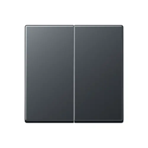 JUNG A 1702 BF ANM dimmerknop 2-voudig serietastdimmer A-range antraciet mat