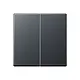 JUNG A 1702 BF ANM dimmerknop 2-voudig serietastdimmer A-range antraciet mat