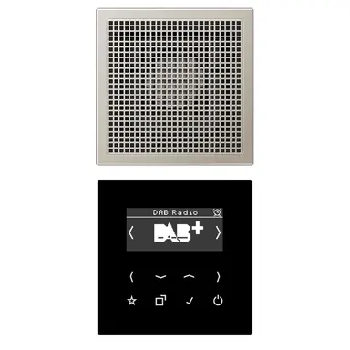 JUNG DAB ES1 smart radio DAB+ set met 1 luidspreker LS990 edelstaal