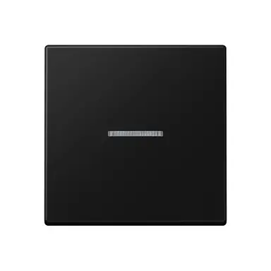 JUNG A 101 KO5 BF SWM schakelwip met controlevenster voor HOME draadloze schakelaar A-range grafietzwart mat