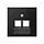 JUNG A 569-2 BFPLUA SWM centraalplaat 2-voudig tbv RJ45 wandcontactdoos A-range grafietzwart mat