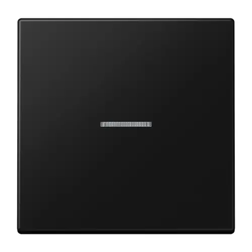 JUNG LS 101 KO5 SWM schakelwip met controlevenster voor HOME draadloze schakelaar LS990 grafietzwart mat