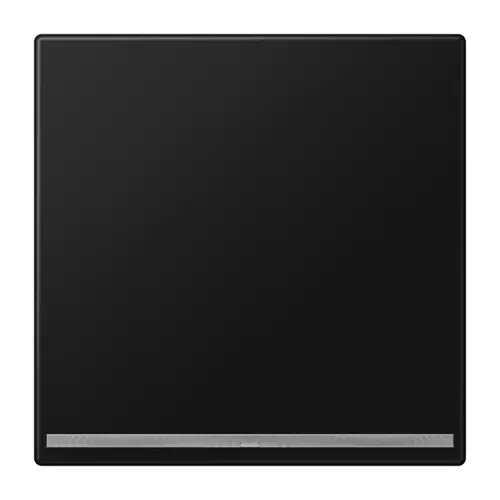 JUNG LS 1539-OO SWM LNW LED-orientatieverlichting zonder lichtsensor LS990 grafietzwart mat