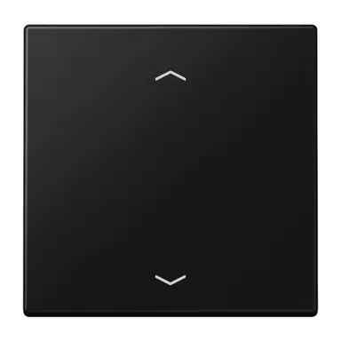 JUNG LS 1700 P SWM jaloezieknop tbv elektronische jaloezieactor LS990 grafietzwart mat