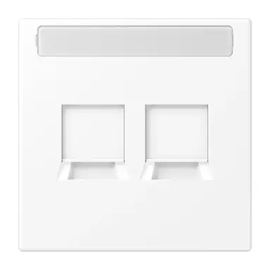JUNG LS 1969-2 NA WE WWM centraalplaat 2-voudig modular-jack tekstvenster LS990 sneeuwwit mat