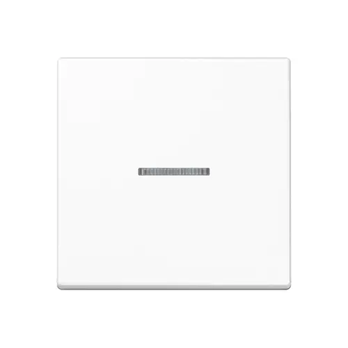 JUNG A 101 KO5 BF WW schakelwip met controlevenster voor HOME draadloze schakelaar A-range alpine wit