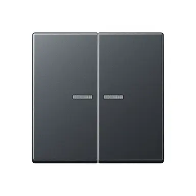 JUNG A 102 KO5 BF ANM schakelwip 2-voudig met controlevenster voor HOME draadloze schakelaar A-range antraciet mat