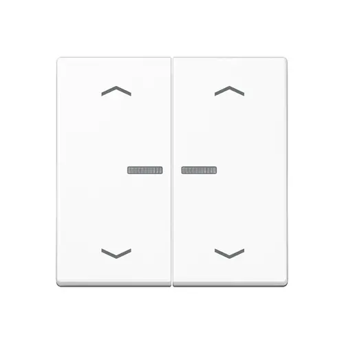 JUNG A 102 KO5P BF WW schakelwip 2-voudig met controlevenster en pijlsymbolen voor HOME draadloze schakelaar A-range alpine wit