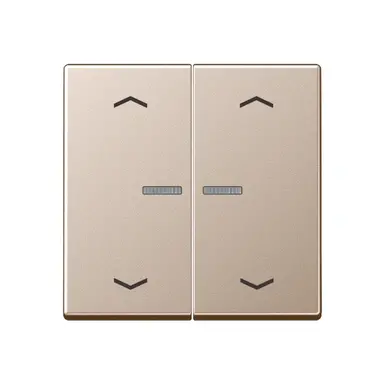 JUNG A 102 KO5P CH schakelwip 2-voudig met controlevenster en pijlsymbolen voor HOME draadloze schakelaar A-range champagne