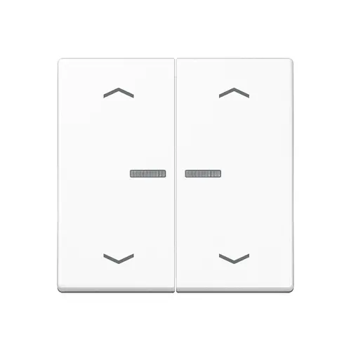 JUNG A 102 KO5P WW schakelwip 2-voudig met controlevenster en pijlsymbolen voor HOME draadloze schakelaar A-range alpine wit