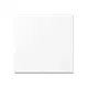 JUNG A 1702 BF WWM dimmerknop 2-voudig serietastdimmer A-range sneeuwwit mat