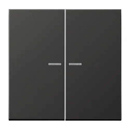 JUNG AL 102 KO5 AN schakelwip 2-voudig met controlevenster voor HOME draadloze schakelaar LS990 antraciet gelakt aluminium