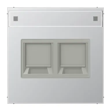 JUNG AL 1969-2 NA WE centraalplaat 2-voudig modular-jack tekstvenster LS990 aluminium