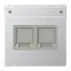 JUNG AL 1969-2 NA WE centraalplaat 2-voudig modular-jack tekstvenster LS990 aluminium