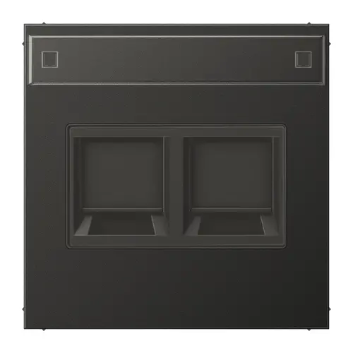 JUNG AL 1969-2 NA WE AN centraalplaat 2-voudig modular-jack tekstvenster LS990 antraciet gelakt aluminium
