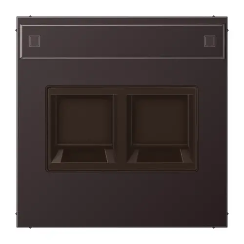 JUNG AL 1969-2 NA WE D centraalplaat 2-voudig modular-jack tekstvenster LS990 dark gelakt aluminium