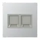 JUNG AL 1969-2 WE centraalplaat met draagring 2-voudig voor modulair jack LS990 aluminium