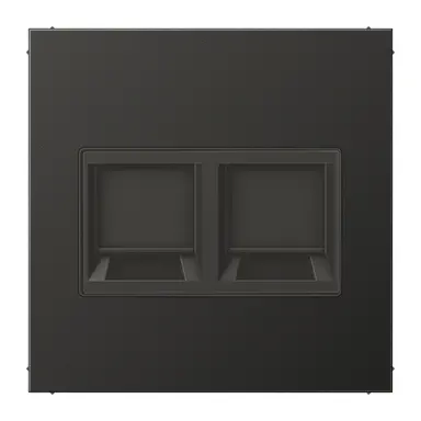 JUNG AL 1969-2 WE AN centraalplaat met draagring 2-voudig voor modulair jack LS990 antraciet gelakt aluminium