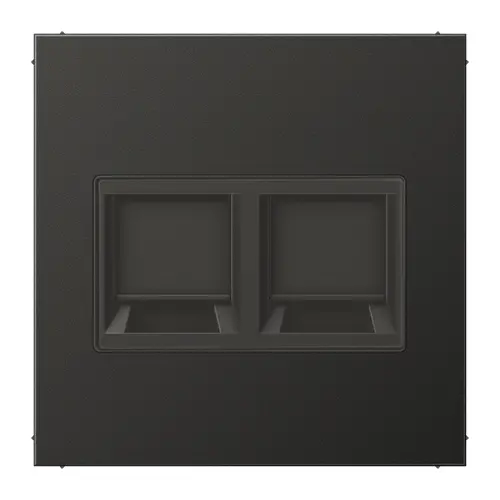 JUNG AL 1969-2 WE AN centraalplaat met draagring 2-voudig voor modulair jack LS990 antraciet gelakt aluminium