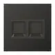 JUNG AL 1969-2 WE AN centraalplaat met draagring 2-voudig voor modulair jack LS990 antraciet gelakt aluminium