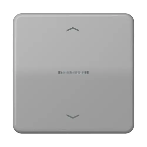 JUNG CD 101 KO5P GR schakelwip met controlevenster en pijlsymbolen voor HOME draadloze schakelaar CD500 grijs