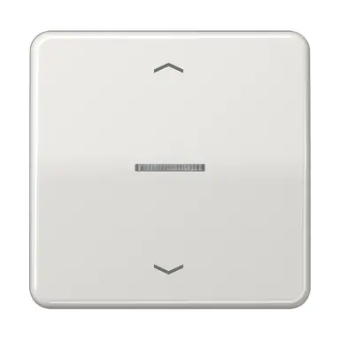JUNG CD 101 KO5P LG schakelwip met controlevenster en pijlsymbolen voor HOME draadloze schakelaar CD500 lichtgrijs