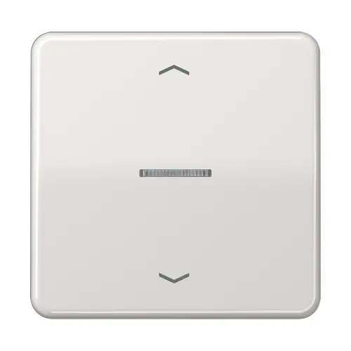JUNG CD 101 KO5P LG schakelwip met controlevenster en pijlsymbolen voor HOME draadloze schakelaar CD500 lichtgrijs