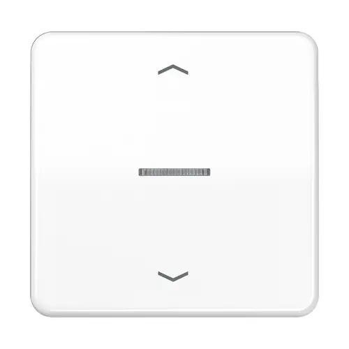 JUNG CD 101 KO5P WW schakelwip met controlevenster en pijlsymbolen voor HOME draadloze schakelaar CD500 alpine wit