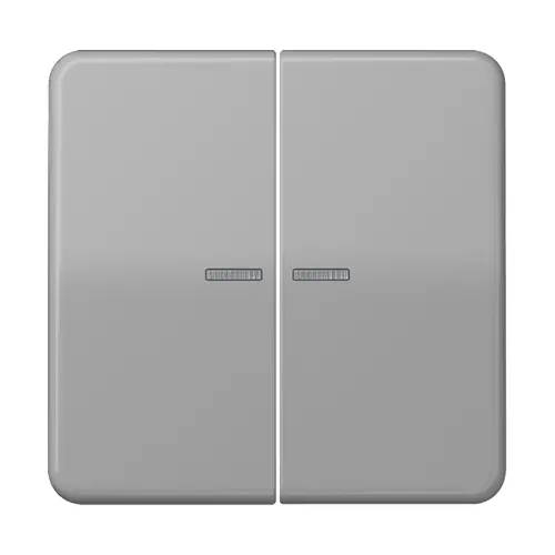 JUNG CD 102 KO5 GR schakelwip 2-voudig met controlevenster voor HOME draadloze schakelaar CD500 grijs