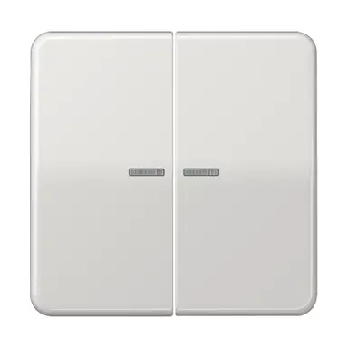 JUNG CD 102 KO5 LG schakelwip 2-voudig met controlevenster voor HOME draadloze schakelaar CD500 lichtgrijs