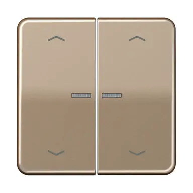 JUNG CD 102 KO5P GB schakelwip 2-voudig met controlevenster en pijlsymbolen voor HOME draadloze schakelaar CD500 goud brons