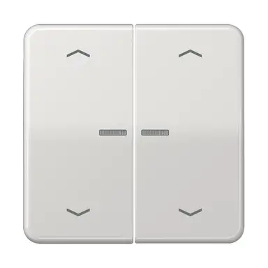 JUNG CD 102 KO5P LG schakelwip 2-voudig met controlevenster en pijlsymbolen voor HOME draadloze schakelaar CD500 lichtgrijs
