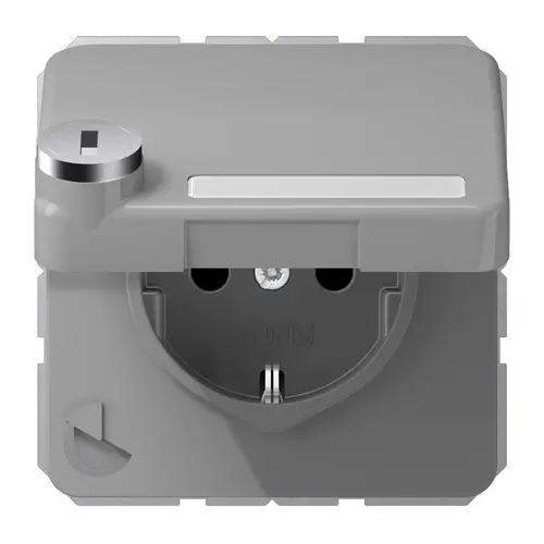 JUNG CD 1520 NNAKLSL GR wandcontactdoos randaarde Safety+ klapdeksel tekstvenster slot CD500 grijs