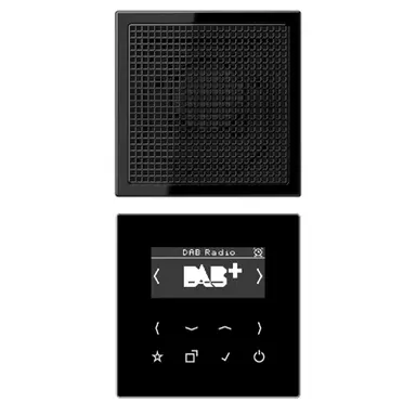 JUNG DAB LS1 SW smart radio DAB+ set met 1 luidspreker LS990 zwart glans