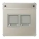 JUNG ES 1969-2 NA WE centraalplaat 2-voudig modular-jack tekstvenster LS990 edelstaal