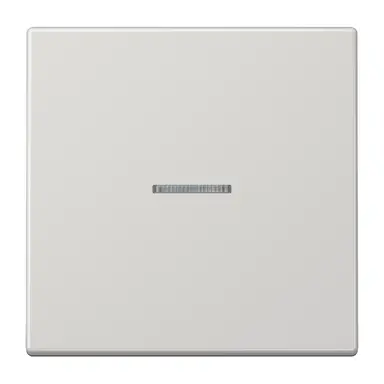 JUNG LS 101 KO5 LG schakelwip met controlevenster voor HOME draadloze schakelaar LS990 lichtgrijs