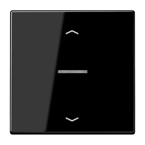 JUNG LS 101 KO5P SW schakelwip met controlevenster en pijlsymbolen voor HOME draadloze schakelaar LS990 zwart glans