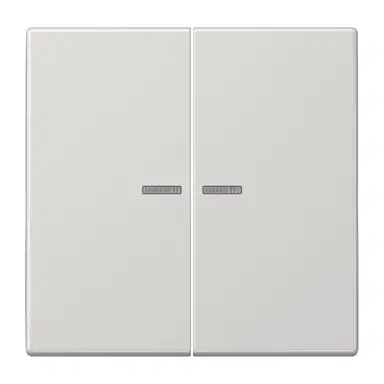 JUNG LS 102 KO5 LG schakelwip 2-voudig met controlevenster voor HOME draadloze schakelaar LS990 lichtgrijs
