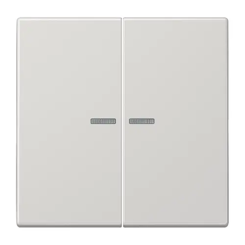 JUNG LS 102 KO5 LG schakelwip 2-voudig met controlevenster voor HOME draadloze schakelaar LS990 lichtgrijs
